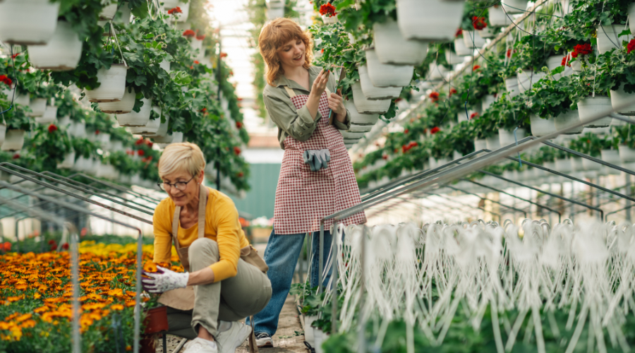 Workers in a greenhouse